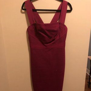 Bodycon Robert Rodriguez Dress